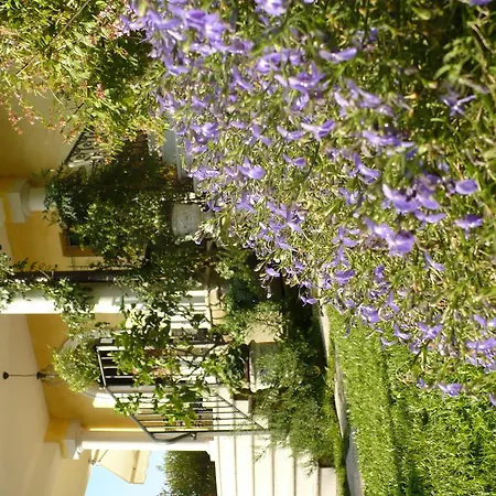 Sinatra * Padenghe sul Garda